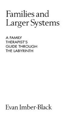 Familiile și sistemele mai largi: Ghidul prin labirint al terapeutului de familie: A Family Therapist's Guide Through the Labyrinth - Families and Larger Systems: A Family Therapist's Guide Through the Labyrinth
