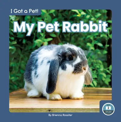 Iepurele meu de companie - My Pet Rabbit
