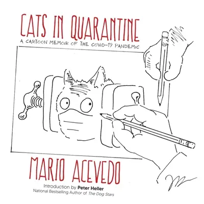 Pisici în carantină - Cats in Quarantine