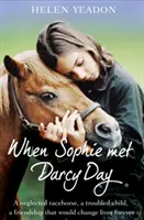 Când Sophie l-a întâlnit pe Darcy Day - When Sophie Met Darcy Day