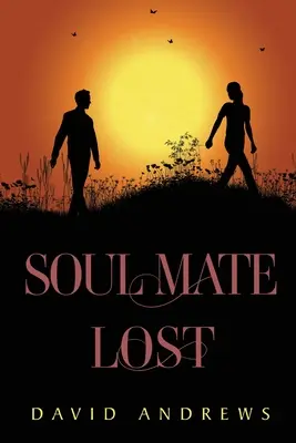 Suflet pereche pierdut - Soul Mate Lost