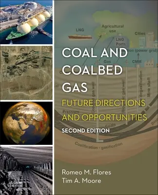 Coal and Coalbed Gas: Direcții și oportunități viitoare - Coal and Coalbed Gas: Future Directions and Opportunities