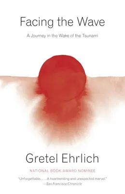 Înfruntând valul: O călătorie în urma tsunamiului - Facing the Wave: A Journey in the Wake of the Tsunami
