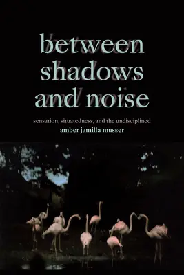 Între umbră și zgomot: Senzație, situare și indisciplină - Between Shadows and Noise: Sensation, Situatedness, and the Undisciplined