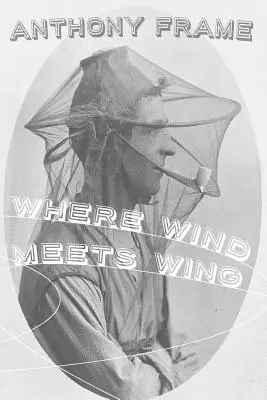 Unde vântul întâlnește aripa - Where Wind Meets Wing