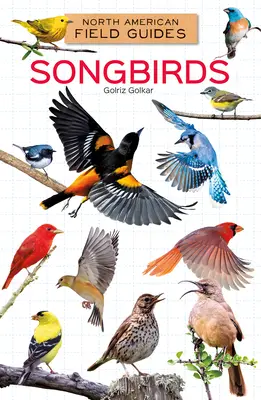 Păsări cântătoare - Songbirds