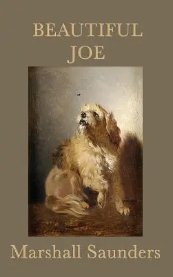 Frumosul Joe - Beautiful Joe