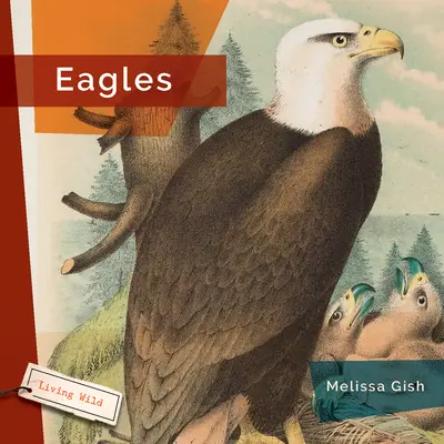 Vulturii - Eagles