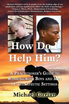 Cum îl ajut? A Practitioners Guide to Working with Boys and Men in Therapeutic Settings - How Do I Help Him?: A Practitioners Guide to Working with Boys and Men in Therapeutic Settings
