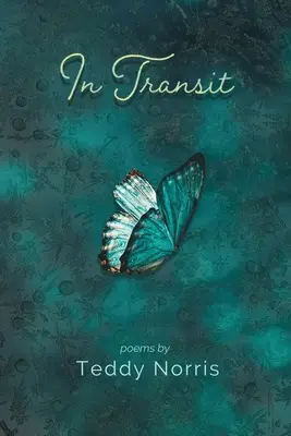 În tranzit - In Transit