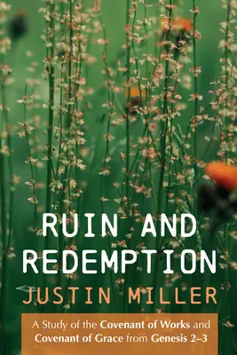 Ruină și răscumpărare - Ruin and Redemption