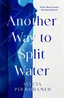Un alt mod de a împărți apa - Another Way to Split Water