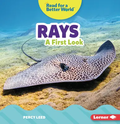 Razele: O primă privire - Rays: A First Look