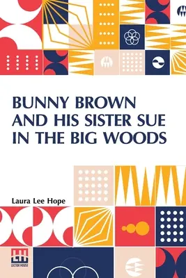 Bunny Brown și sora lui Sue în marea pădure - Bunny Brown And His Sister Sue In The Big Woods