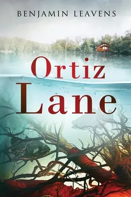 Calea Ortiz - Ortiz Lane