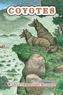 Coioți - Coyotes