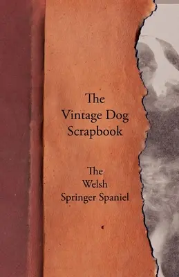 Cartea de amintiri a câinelui de epocă - Welsh Springer Spaniel - The Vintage Dog Scrapbook - The Welsh Springer Spaniel
