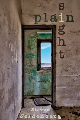 Vedere liberă - Plain Sight
