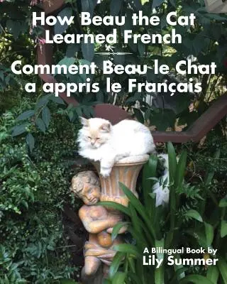 Cum a învățat Beau pisica limba franceză / Comment Beau le Chat a appris le Franais: O carte bilingvă - How Beau the Cat Learned French / Comment Beau le Chat a appris le Franais: A Bilingual Book
