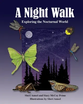 O plimbare nocturnă: Explorarea lumii nocturne - A Night Walk: Exploring the Nocturnal World