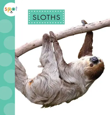 Leneși - Sloths