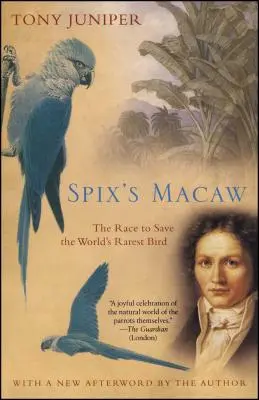 Macaw-ul lui Spix: Cursa pentru salvarea celei mai rare păsări din lume - Spix's Macaw: The Race to Save the World's Rarest Bird