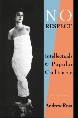 Fără respect: Intelectualii și cultura populară - No Respect: Intellectuals and Popular Culture