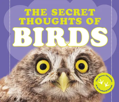 Gândurile secrete ale păsărilor - The Secret Thoughts of Birds