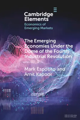 Economiile emergente sub cupola celei de-a patra revoluții industriale - The Emerging Economies Under the Dome of the Fourth Industrial Revolution