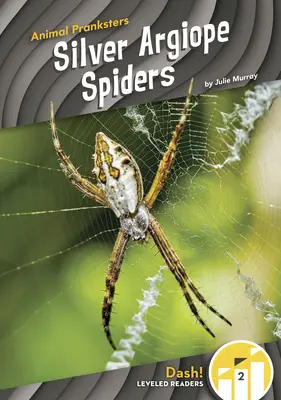 Păianjeni Argiope argintii - Silver Argiope Spiders