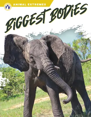 Cele mai mari corpuri - Biggest Bodies
