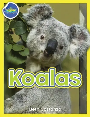Koala Caiet de activități pentru 4-8 ani - Koala Activity Workbook ages 4-8