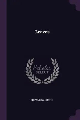 Frunze - Leaves