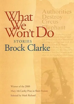 What We Won't Do: Povestiri - What We Won't Do: Stories