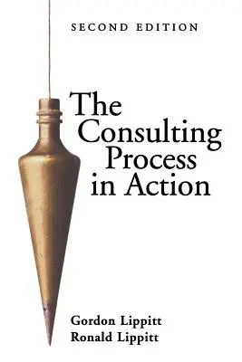 Procesul de consultanță în acțiune - The Consulting Process in Action
