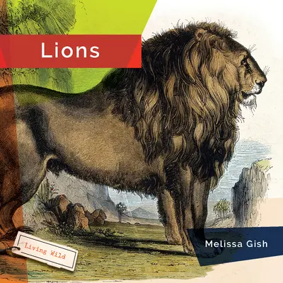 Leii - Lions