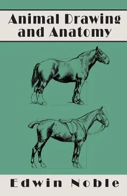 Desenul și anatomia animalelor - Animal Drawing and Anatomy