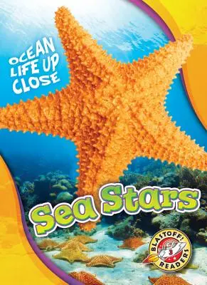 Stele marine - Sea Stars