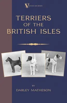 Terrier - Un ghid ilustrat (un clasic al rasei în cărțile de câini de epocă) - Terriers - An Illustrated Guide (a Vintage Dog Books Breed Classic)
