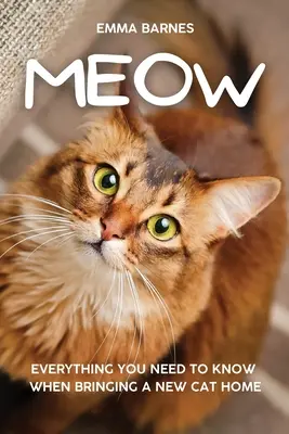 Miau: Tot ce trebuie să știi când aduci o pisică nouă acasă - Meow: Everything You Need to Know When Bringing a New Cat Home