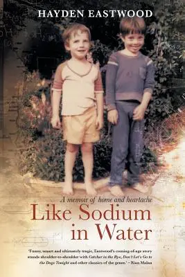 Ca sodiul în apă: O carte de memorii despre casă și suferință - Like Sodium in Water: A memoir of home and heartache