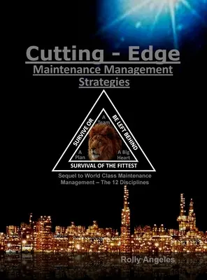 Strategii de vârf în managementul întreținerii: A treia și a patra disciplină privind managementul întreținerii de clasă mondială, Cele 12 discipline - Cutting Edge Maintenance Management Strategies: 3rd and 4th Discipline on World Class Maintenance Management, The 12 Disciplines