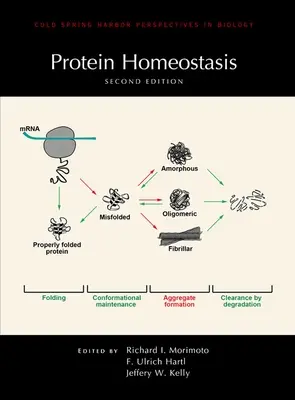 Homeostazia proteinelor, ediția a doua - Protein Homeostasis, Second Edition