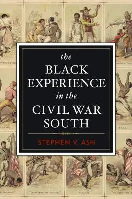 Experiența negrilor în sudul Războiului Civil - The Black Experience in the Civil War South