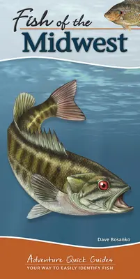 Peștii din Midwest: Modul tău de a identifica cu ușurință peștii - Fish of the Midwest: Your Way to Easily Identify Fish