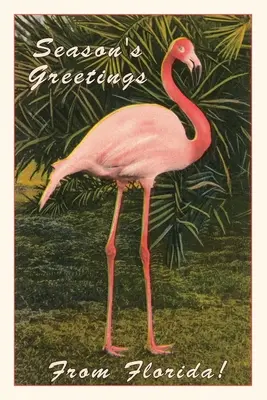 Jurnal de epocă Season Greetings from Florida, Flamingo - Vintage Journal Season Greetings from Florida, Flamingo