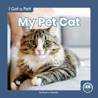 Pisica mea de companie - My Pet Cat