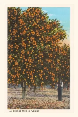 Jurnal de epocă Orange Trees - Vintage Journal Orange Trees