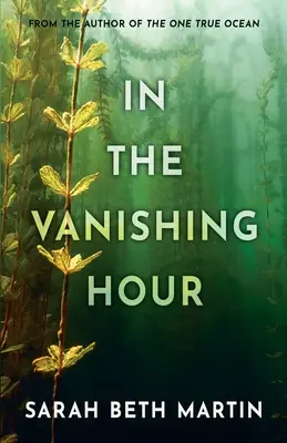 În ora dispariției - In the Vanishing Hour