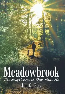 Meadowbrook: Cartierul care m-a creat - Meadowbrook: The Neighborhood That Made Me